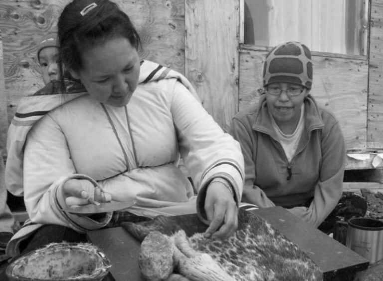 Seal Fur & Seal Skin Leather Proudly Indigenous Crafts & Designs