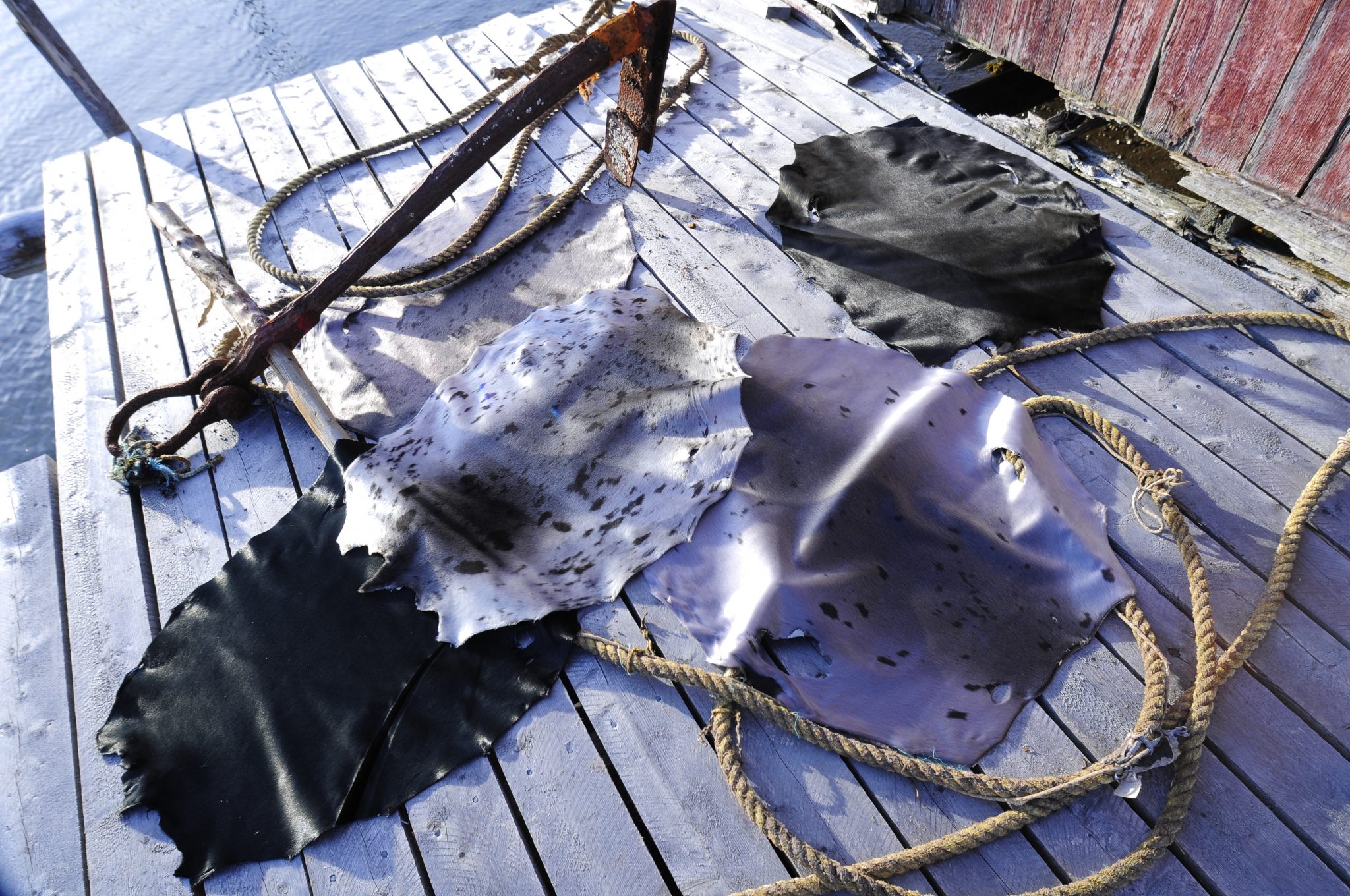 Proudly Indigenous Crafts & Designs Seal Fur & Seal Skin Products