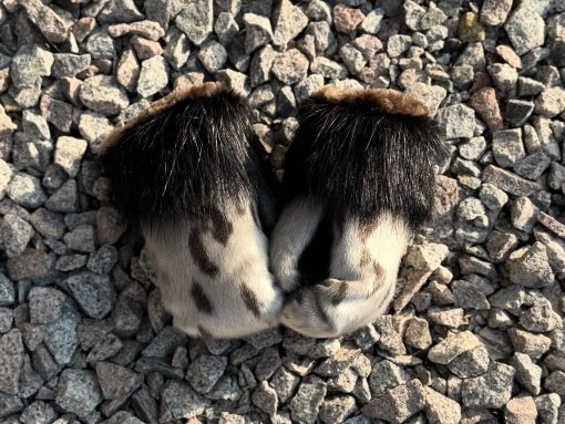 Women’s Boxer Mitts - Image 2