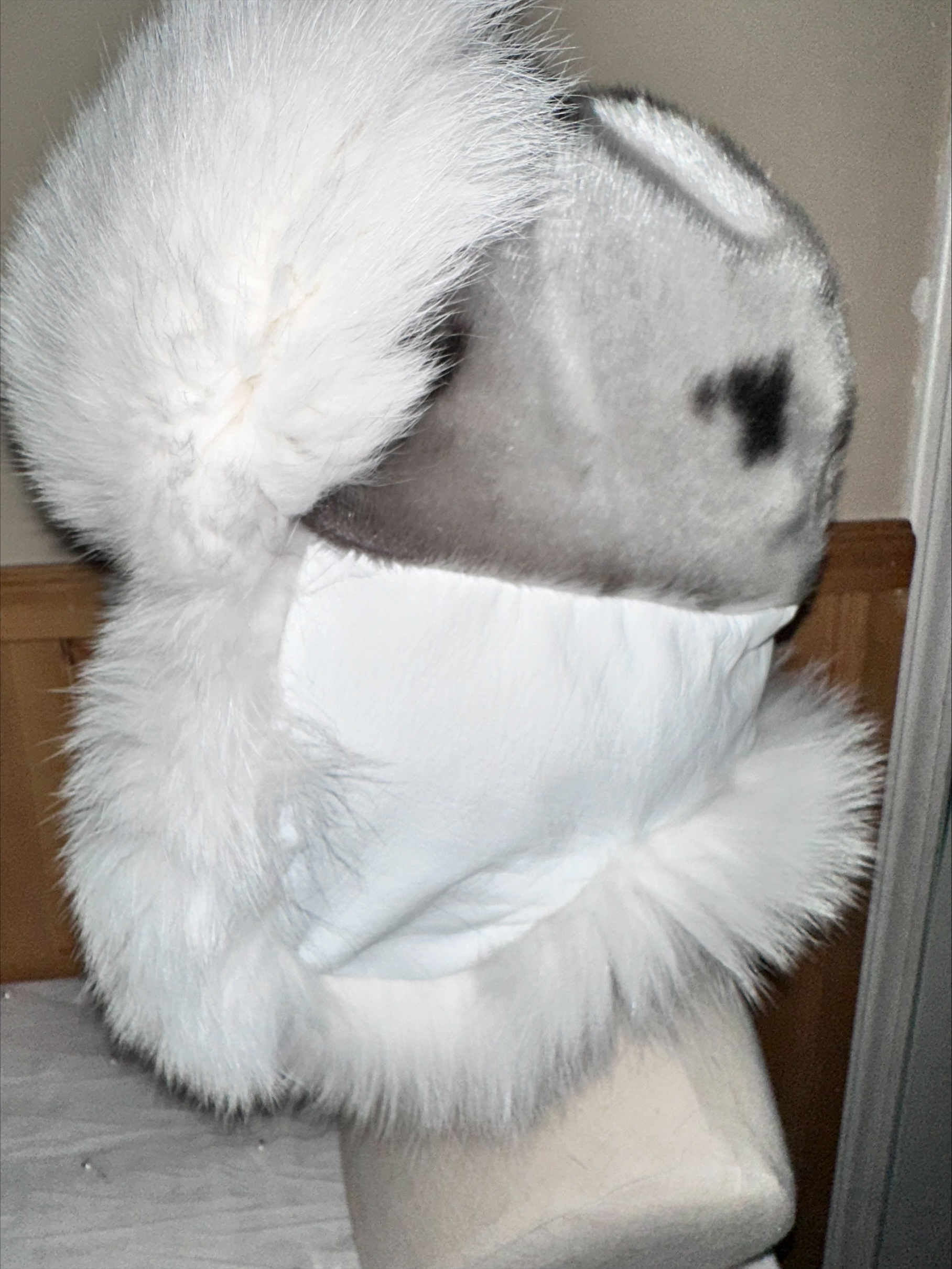 Harp Sealskin and Natural White Fox Fur Trapper Hat