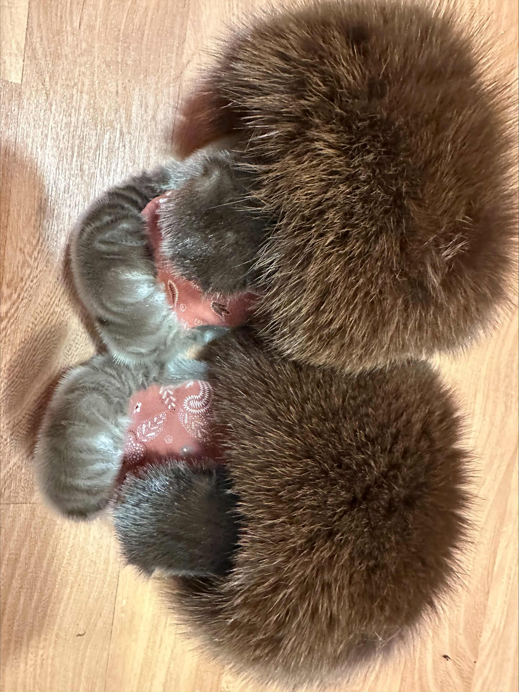 Harp Sealskin & Printed Leather Mittens (Made to Order) - Image 2