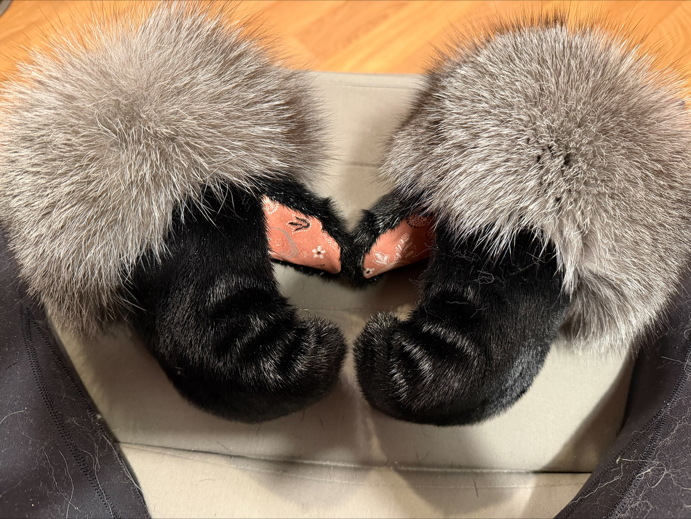 Black Harp Sealskin & Printed Leather Mittens (Made to Order) - Image 2